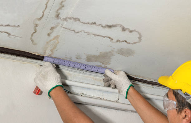 Reliable Water Damage Restoration contractor in Goldsboro, NC by Water Damage Irwin